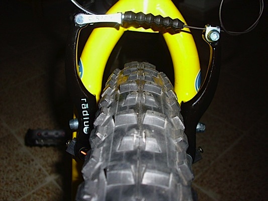 Loading Image